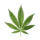 Cannabis Leaf